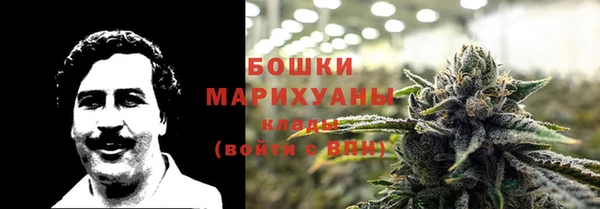 apvp Аркадак