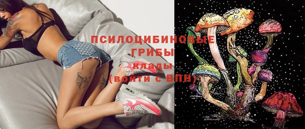 прущие крисы Арсеньев
