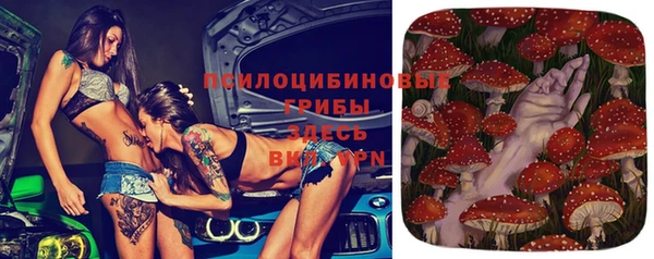 прущие крисы Арсеньев