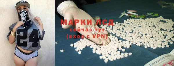 apvp Аркадак