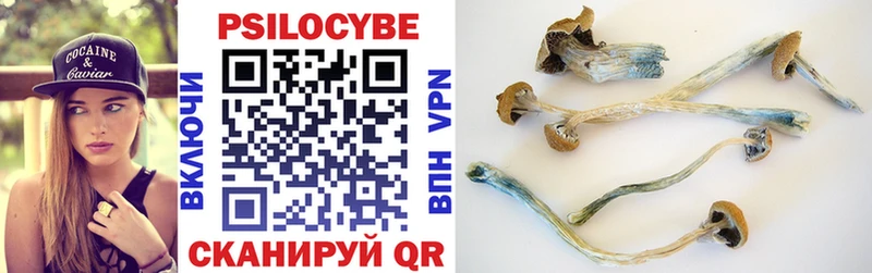 Псилоцибиновые грибы Psilocybine cubensis  Никольск 